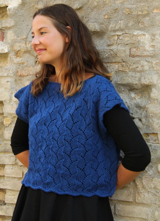  Blue- en skn feminin bluse 